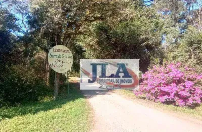 Terreno à venda, 3000 m² por r$ 750.000,00 - campininha - quatro barras/pr