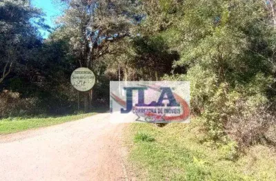 Terreno à venda, 2500 m² por r$ 650.000,00 - campininha - quatro barras/pr
