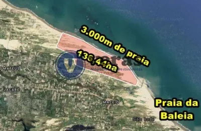 Veras vende tereno com 136,44ha  em itapipoca-ce, próximo a