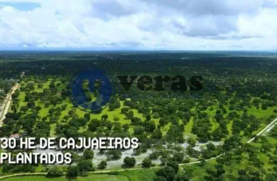 Fazenda à venda na Rod. Brunilo Jacó De Castro E Silva, Patos dos Liberatos, Chorozinho