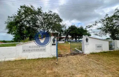 Veras vende fazenda histórica massapê grande - em madalena-ce