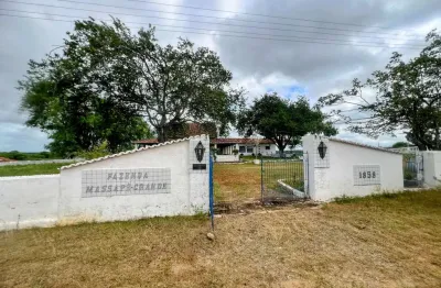 Veras vende fazenda histórica massapê grande - em madalena-ce