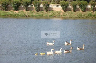 Casa com 5 dormitórios à venda, 682 m² por r$ 1.600.000,00 - condomínio fechado village zuleika jabour - salto/sp