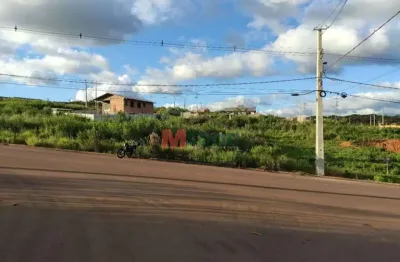 Terreno à venda na Rua Eduardo Augusto Fogaça, 80, Cará-cará, Ponta Grossa
