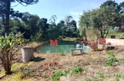 Terreno comercial para alugar na Rua Ambrósio Bricaillo, 788, Chapada, Ponta Grossa