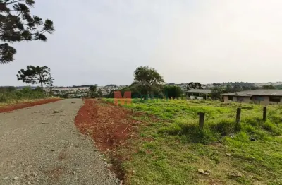Terreno à venda na Rua José Koteski, 01, Cará-cará, Ponta Grossa