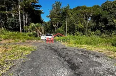 Chácara / sítio com 5 quartos para alugar na Rodovia BR-373, KM 190, Uvaia, Ponta Grossa