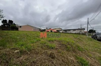 Terreno à venda no Cará-cará, Ponta Grossa 