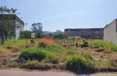 Terreno à venda na Rua Professora Maria da Graça Franke Minini, s/n, Cará-cará, Ponta Grossa