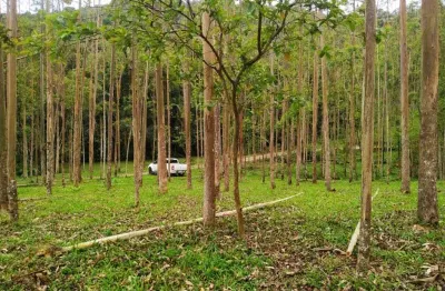 Terreno à venda no dom joaquim, brusque  por r$ 990.000