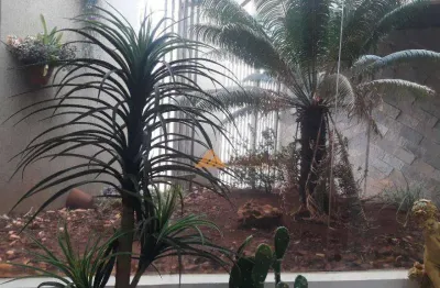 Casa à venda, 203 m² por r$ 900.000,00 - centro - ribeirão preto/sp