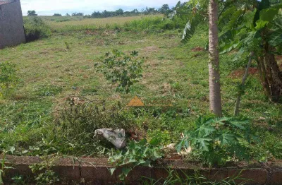 Terreno à venda, 250 m² por r$ 130.000,00 - res. são luiz - dumont/sp