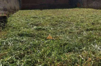 Terreno à venda, 250 m² por r$ 270.000,00 - jardim macedo - ribeirão preto/sp
