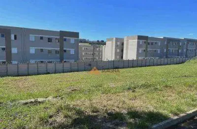 Terreno à venda, 786 m² por r$ 500.000,00 - santa marta - ribeirão preto/sp