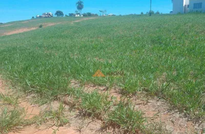 Terreno à venda, 389 m² por r$ 250.000,00 - riviera de santa cristina xiii - paranapanema/sp