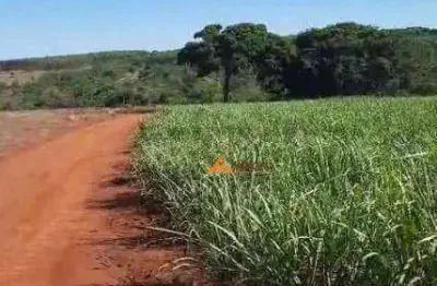 Fazenda à venda, 556600 m² por R$ 5.000.000,00 - Santo Antônio da Alegria - Santo Antônio da Alegria/SP