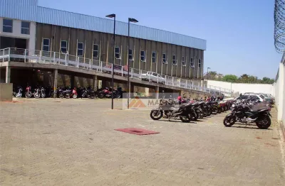 Galpão à venda, 6000 m² por r$ 9.500.000,00 - campos elíseos - ribeirão preto/sp