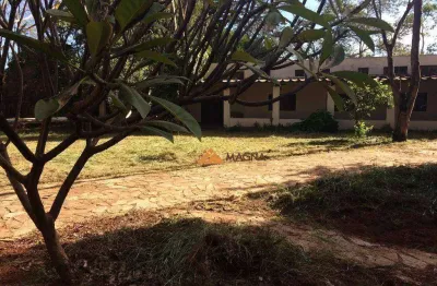 Chácara à venda, 5600 m² por r$ 1.200.000,00 - recreio internacional - ribeirão preto/sp