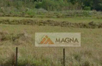 Área à venda, 7772 m² por r$ 3.900.000,00 - vila monte alegre - ribeirão preto/sp