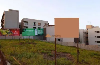 Terreno para alugar, 1762 m² por r$ 32.500,00/mês - jardim botânico - ribeirão preto/sp