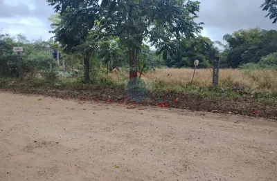 Terrenos  no loteamento rincão mimoso : ótima localização e preço!