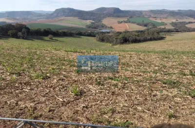 Fazenda de luxo no centro de são gonçalo do sapucaí-mg: 7 quartos, 7 suítes, 7 banheiros, 20 vagas de garagem em 0,47 alqueires.