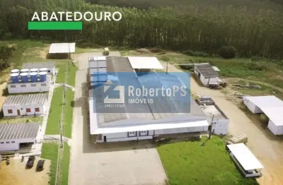 Vendo frigorífico de frango top fazenda com vários galpões de granja localizado em aracaju.