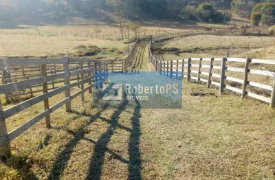 Excelente fazenda para pecuária em cambuí - mg próxima  ao estado de são paulo  a 1 km da rodovia fernão dias
