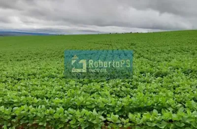 Fazenda com 2 salas à venda no Centro, São João D'Aliança 