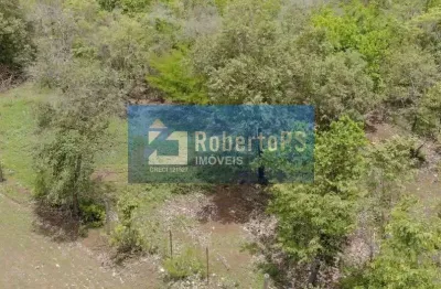 Fazenda de luxo à venda em flores de goiás-go: 4 quartos, 2 salas, 4 banheiros, 10 vagas de garagem e 864ha de área