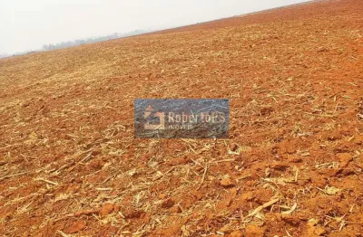 Fazenda com 1 sala à venda no Centro, Confresa 