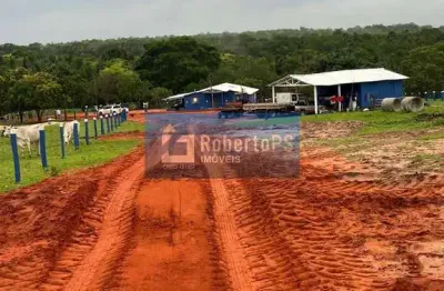 Fazenda de 1.200 hectares à venda no centro de novo são joaquim-mt: 3 quartos, 1 suíte, 1 sala, 2 banheiros, 2 vagas de garagem.