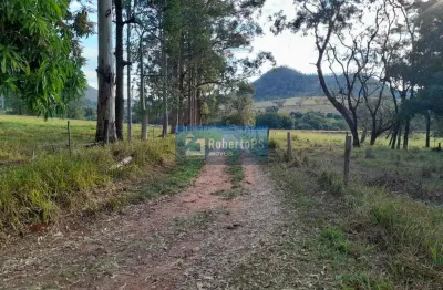 Fazenda de luxo à venda em ribeirão bonito-sp, centro: 4 quartos, 2 salas, 3 banheiros, 57 hectares!