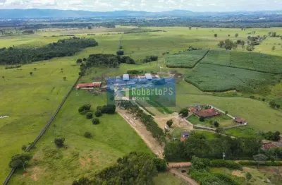 Fazenda de 98,6 hectares com infraestrutura completa  totalmente plana