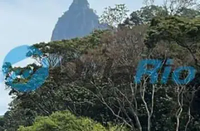 Cobertura com 4 quartos à venda na rua alzira cortes, botafogo, rio de janeiro, 442 m2 por r$ 4.597.000