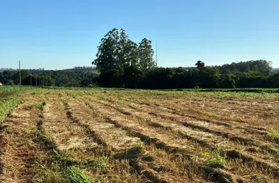 Terreno à venda na Rodovia Mabio Gonçalves Palhano, Gleba Fazenda Palhano, Londrina