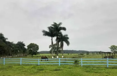 Fazenda para venda em registro, matão de dentro inv