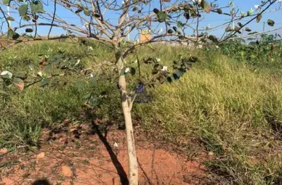 Terreno à venda no Cataguá, Taubaté 