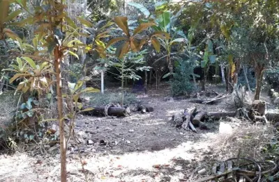 Terreno comercial à venda na Bela Vista, Pindamonhangaba 