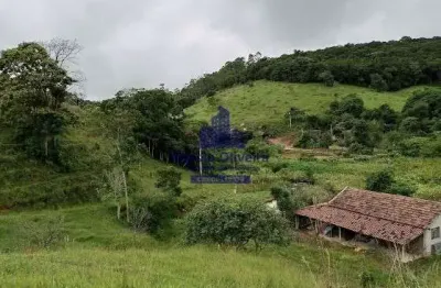 Chácara / sítio com 4 quartos à venda no Bairro das Perobas, São Luiz do Paraitinga 