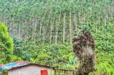 Sitio venda em redenção da serra, podendo fracionar, com 182.000m².