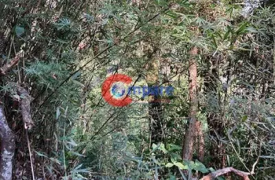 Terreno à venda na Via das Magnólias, Jardim Colibri, Embu das Artes