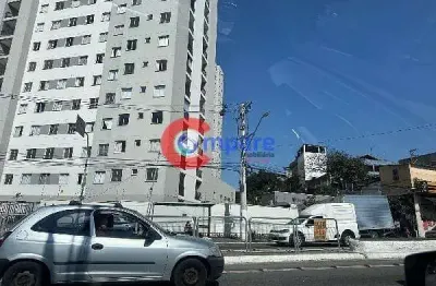 Apartamento à venda 2 quartos, 52m², vila norma, sao paulo - sp