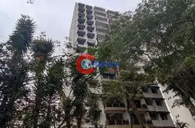 Apartamento à venda 3 quartos, 221m², vila andrade, sao paulo - sp