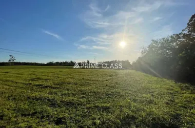 Terreno à venda na porto da figueira, 2, zona rural, nova santa rita por r$ 3.119.900