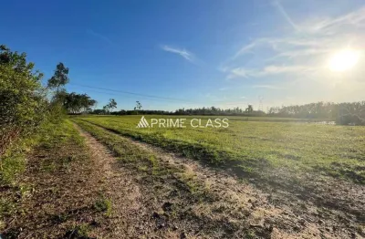 Terreno à venda na porto da figueira, 2, zona rural, nova santa rita por r$ 3.119.898