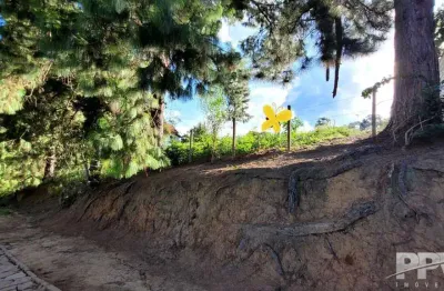Terreno à venda na Rua Saint Moritz, Fazenda Suiça, Teresópolis