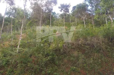 Lote em Condomínio Fechado para Venda em Teresópolis, Parque Do Imbui
