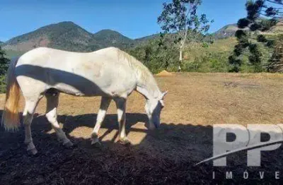 Sítio para venda em teresópolis, fazenda alpina, 2 dormitórios, 1 banheiro