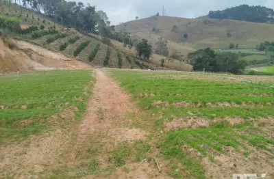 Chácara / sítio com 2 quartos à venda na Extrada Carmelio Rapozo 175, 175, Vila do Pião, Sapucaia